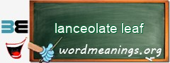 WordMeaning blackboard for lanceolate leaf